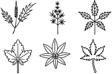 pigweed line art minimalist floral illustration perfect for herbal decor