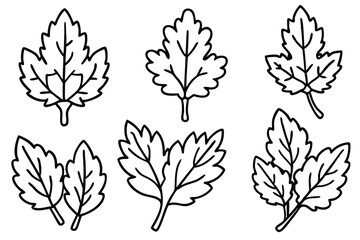 Mustard Green Leaf Line Art Unique Style for Artwork  