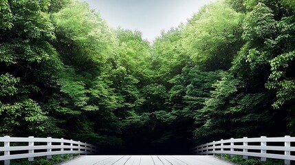 Fototapeta premium Bridge across a forest with vibrant green trees leading towards a light. Nature's beauty
