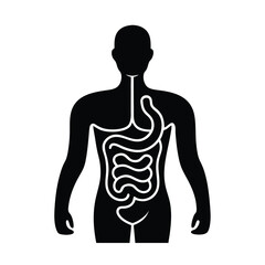 Digestive System Human Body Vector.
