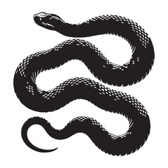 Territorial Rattlesnake silhouette, protecting its space with a warning – Rattlesnake illustration – Minimalist Rattlesnake vector – Snake silhouette

