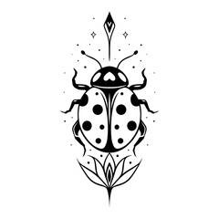 Marienkäfer Pfeil. Filigranes Vektor Design mit Insekten im Fineline Tattoo Style.