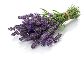 Photorealistic lavender bouquet with vibrant purple flowers and fresh stems on white background