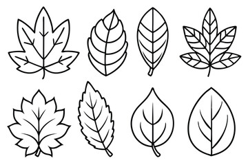 Fototapeta premium Orange Leaf Line Art Illustration Detailed Sketch for Modern Design 