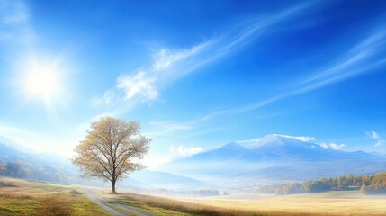 Obraz premium Scenic view of a solitary tree in a misty autumn field with snow-capped mountains under a vibrant blue sky with ample copy space for text inclusion