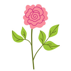 Obraz premium Simple vector flower illustration on transparent background