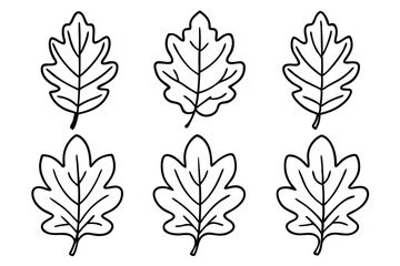 Fototapeta premium Oak Leaf Line Art Intricate Design for Creative Illustration Artwork 