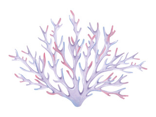 Branched coral. Watercolor and marker illustrations. Ocean coral reefs, underwater animals of the seabed. Hand drawn isolated art. Underwater exotic nature for guidebooks, children's room, swimsuit