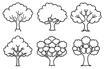 Oaks Line Art Illustration Elegant Sketch for Artistic Visual Projects  