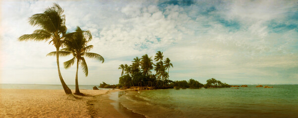 Palm trees on the beach in Morro De Sao Paulo, Tinhare, Cairu, Bahia, Brazil.
