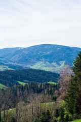 Serene landscape of rolling hills and lush forests under a clear sky in the Black Forest region during the early spring season