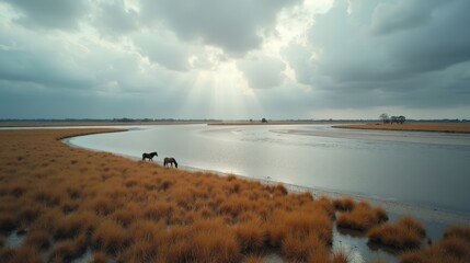 Photo of Camargue in France captured during a cool, rainy winter midday, with a sweeping aerial perspective.