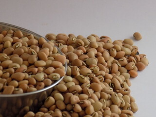 Pile and heap of a dried Red color Organic Cow Pea or Alsande Kalu in a white background.