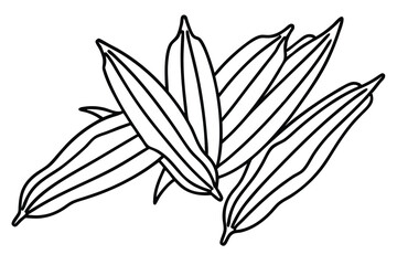 Okra Leaf Line Art Concept for Unique Artistic Illustration Project  