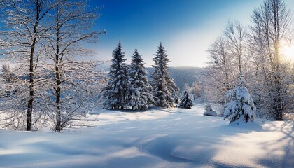 winter landscape with snow and trees