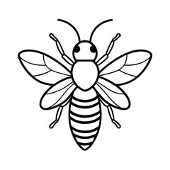bee on white background