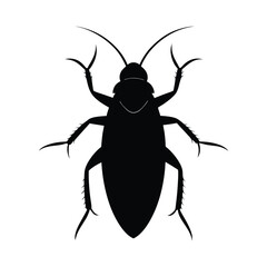cockroach Silhouette  isolated on white background