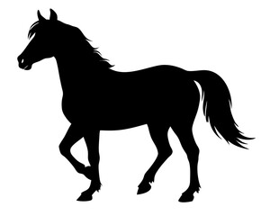 Morgan Horse Silhouette Vector & Elegant Equestrian SVG Design