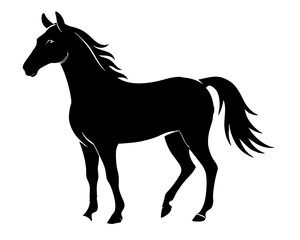Morgan Horse Silhouette Vector & Elegant Equestrian SVG Design
