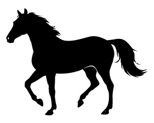 Morgan Horse Silhouette Vector & Elegant Equestrian SVG Design