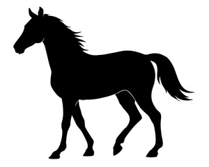 Morgan Horse Silhouette Vector & Elegant Equestrian SVG Design