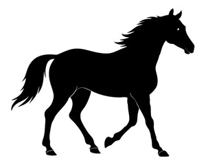 Morgan Horse Silhouette Vector & Elegant Equestrian SVG Design