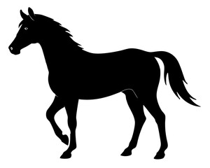Morgan Horse Silhouette Vector & Elegant Equestrian SVG Design