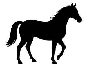 Morgan Horse Silhouette Vector & Elegant Equestrian SVG Design