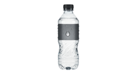 Isolated Transparent Water Bottle with Gray Label