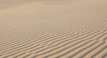 Obraz premium Desert's Whisper: Rippled Sandscape AI Generated