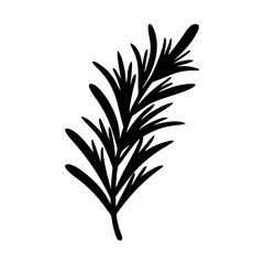 rosemary sprig icon, rosemary sprig line art - simple line art of rosemary sprig, perfect for rosemary sprig logos and icons