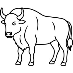 Elegant Bison Vector in Single Line