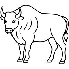 Elegant Bison Vector in Single Line