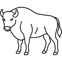 Elegant Bison Vector in Single Line