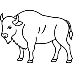 Elegant Bison Vector in Single Line