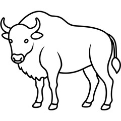 Elegant Bison Vector in Single Line