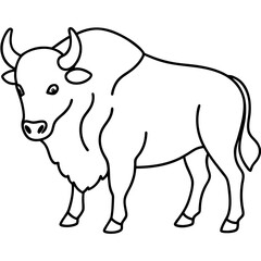Elegant Bison Vector in Single Line