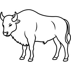 Elegant Bison Vector in Single Line