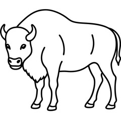 Elegant Bison Vector in Single Line