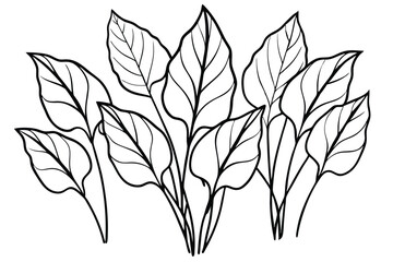Lily Leaf Line Art Decorative Sketch for Creative Design Projects  
