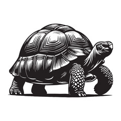 Silent Sulcata Tortoise silhouette, its slow pace a calm presence in nature – Sulcata Tortoise illustration – Sulcata Tortoise vector – Reptile silhouette

