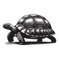 Lumbering Sulcata Tortoise silhouette, its massive form a true spectacle – Sulcata Tortoise illustration – Sulcata Tortoise vector – Reptile silhouette

