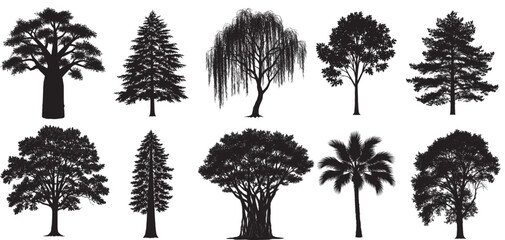 Fototapeta premium Silhouettes of Ten Diverse Tree Types Displaying Unique Shapes Against a Transparent Background