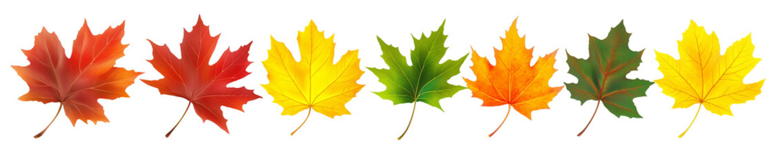 Obraz premium Seven maple leaves display a gradient of fall colors against a neutral backdrop.