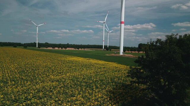 Drone Footage of Summer Wind Turbines in Germany &ndash; Green Fields and Clean Energy