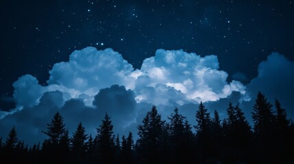 Fototapeta premium Night sky, starry clouds over forest silhouette, peaceful landscape, nature background