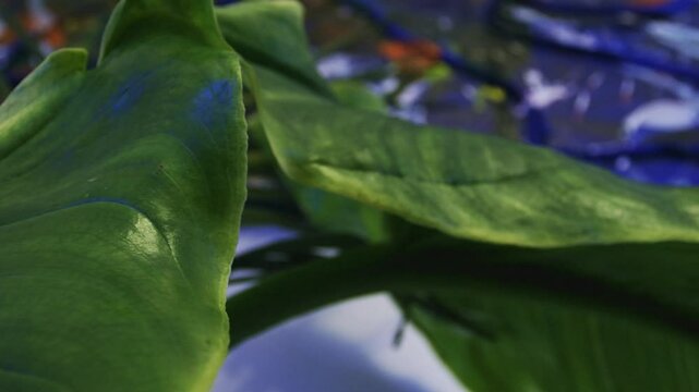 A plant and a painting in the background.