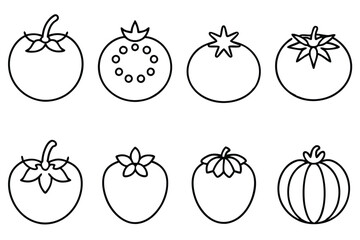 Tomato Line Art Sketch Showing Rustic Farm to Table Vibes