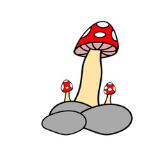 Mushroom illustration