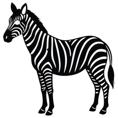 Zebra vector
